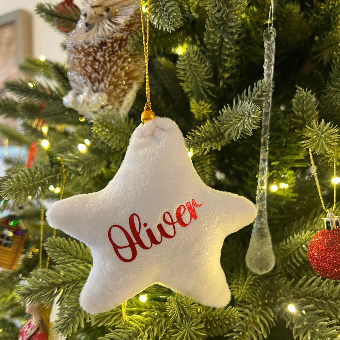 Personalised Velvet Star Hanging Decoration